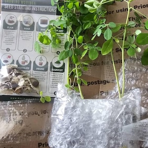 Angela added a photo of their purchase