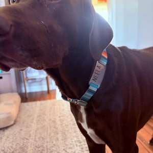 Maddy ha añadido una foto de su compra