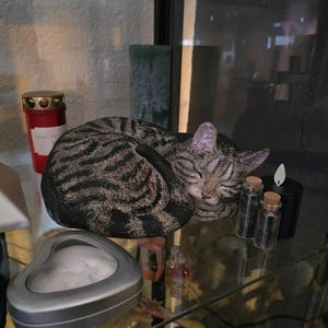 Daphne added a photo of their purchase