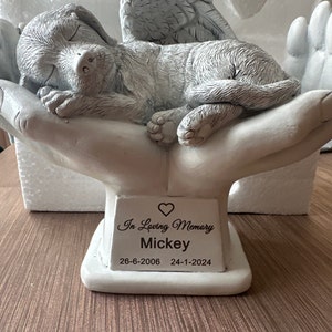 Therese added a photo of their purchase