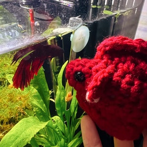 YINYIN added a photo of their purchase