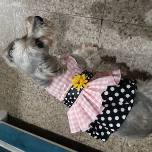 Lucia added a photo of their purchase