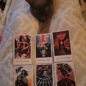 Lolly added a photo of their purchase