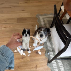 Hester added a photo of their purchase