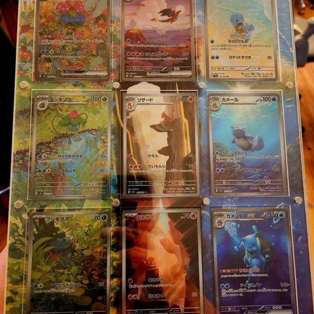 ポケモンカードディスプレイフレームケース バージョン2.0/2.1 壁掛け