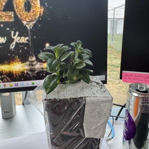 Susan added a photo of their purchase
