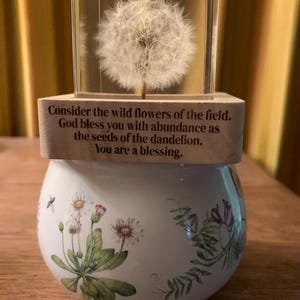 Lynn added a photo of their purchase