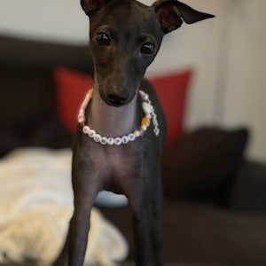 Uwe added a photo of their purchase
