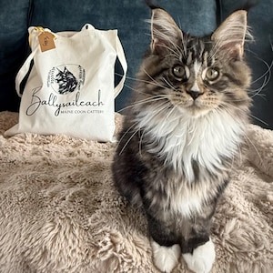 Judith added a photo of their purchase