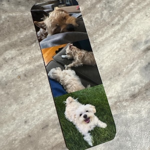 Danielle added a photo of their purchase
