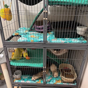 Nicole added a photo of their purchase