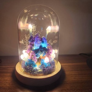 Justin added a photo of their purchase