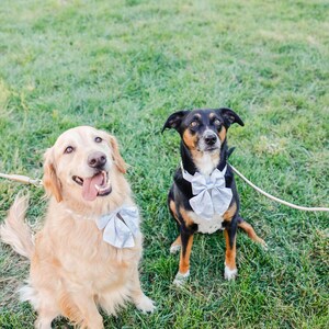 Alyssa added a photo of their purchase