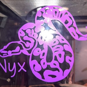 Scylla added a photo of their purchase