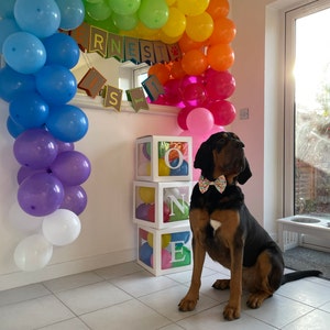 Georgie added a photo of their purchase