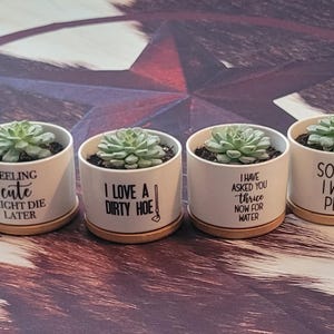 Susan added a photo of their purchase