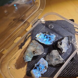 Sammy ha añadido una foto de su compra