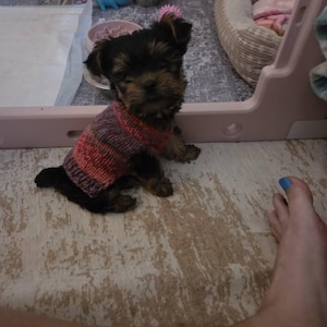 Heather added a photo of their purchase