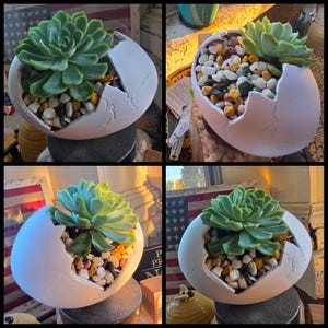 Erika added a photo of their purchase