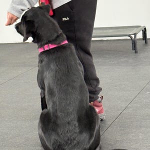 Robert added a photo of their purchase