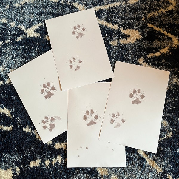 Inkless Pet Paw Print Kit | Get High-quality Paw Prints With Zero Ink ...