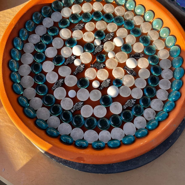 Conch Sea Shell | Garden Quality 6"-8" Conch Shell | Imperfect Conch ...