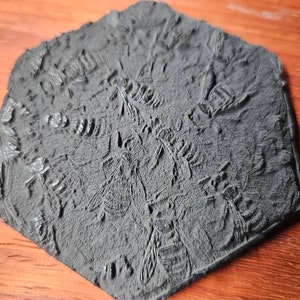 Tod added a photo of their purchase