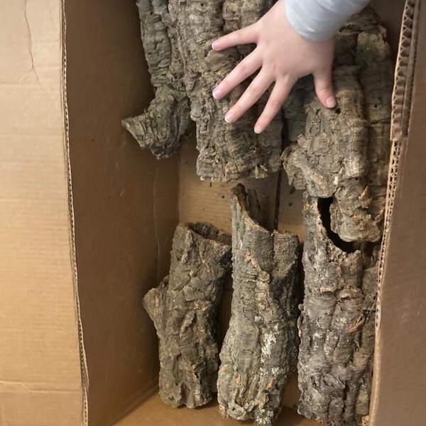 Cork Bark Rounds 2 Lbs - Animal Hides in a Terrarium / Vivarium - Etsy