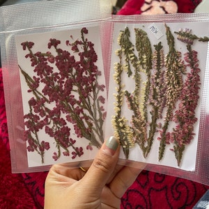 Ela added a photo of their purchase