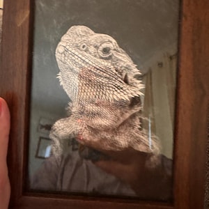 Ashley added a photo of their purchase