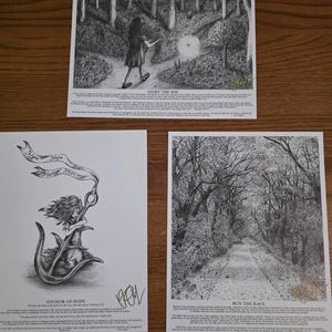 Donna さんが購入した商品の写真を追加しました