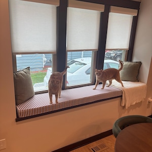 Jenna added a photo of their purchase