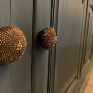 Dona added a photo of their purchase