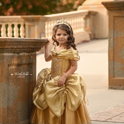 Belle Dress / Belle Costume / Disney Princess Dress Beauty and the ...