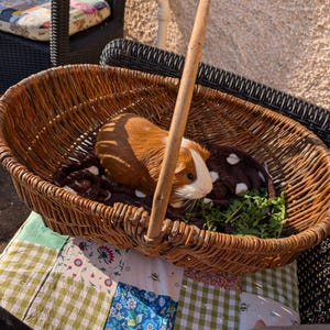 Jackie added a photo of their purchase