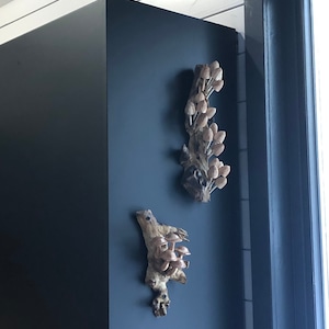 RICHARD added a photo of their purchase