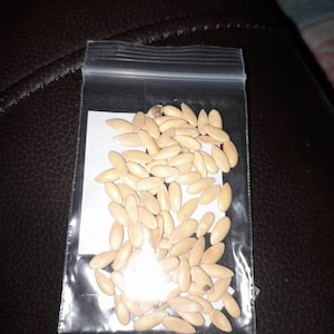 Shannon added a photo of their purchase