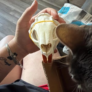 Gabriella added a photo of their purchase