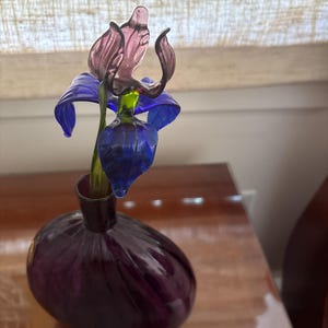 Mary added a photo of their purchase