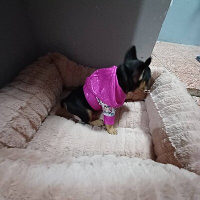 Dog Hoodie Sewing Pattern for Big or Small Dogs XS-XXL, Puppy Clothes ...