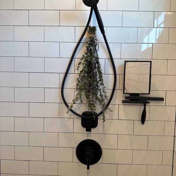 Fresh Eucalyptus Shower Bundle | Eucalyptus Plant | Fresh Eucalyptus ...
