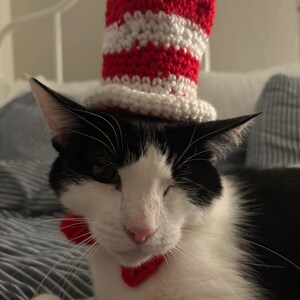 Cat in the hat costume for cats hotsell