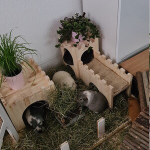 Stefanie ha añadido una foto de su compra