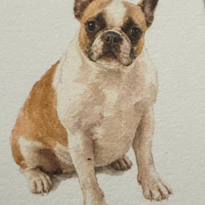 Doshia heeft een foto van de aankoop toegevoegd