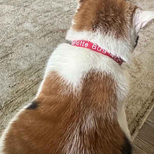 Denise ha aggiunto una foto del proprio acquisto