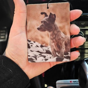 Ashley added a photo of their purchase