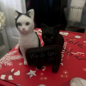 Megan added a photo of their purchase