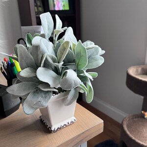 Pianta Artificiale Di Eucalipto In Vaso Ceramica – Admired By Nature – Verde Giada – Decorazione Da Scrivania, Ufficio E Casa – 8,25x9x8 Cm