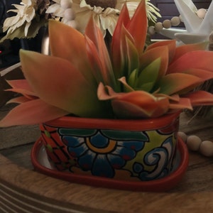 Debbie added a photo of their purchase