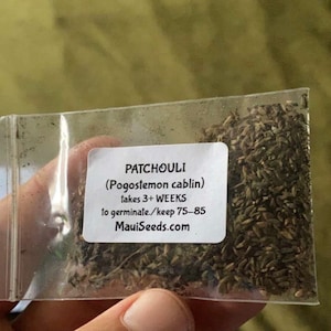 Ben added a photo of their purchase